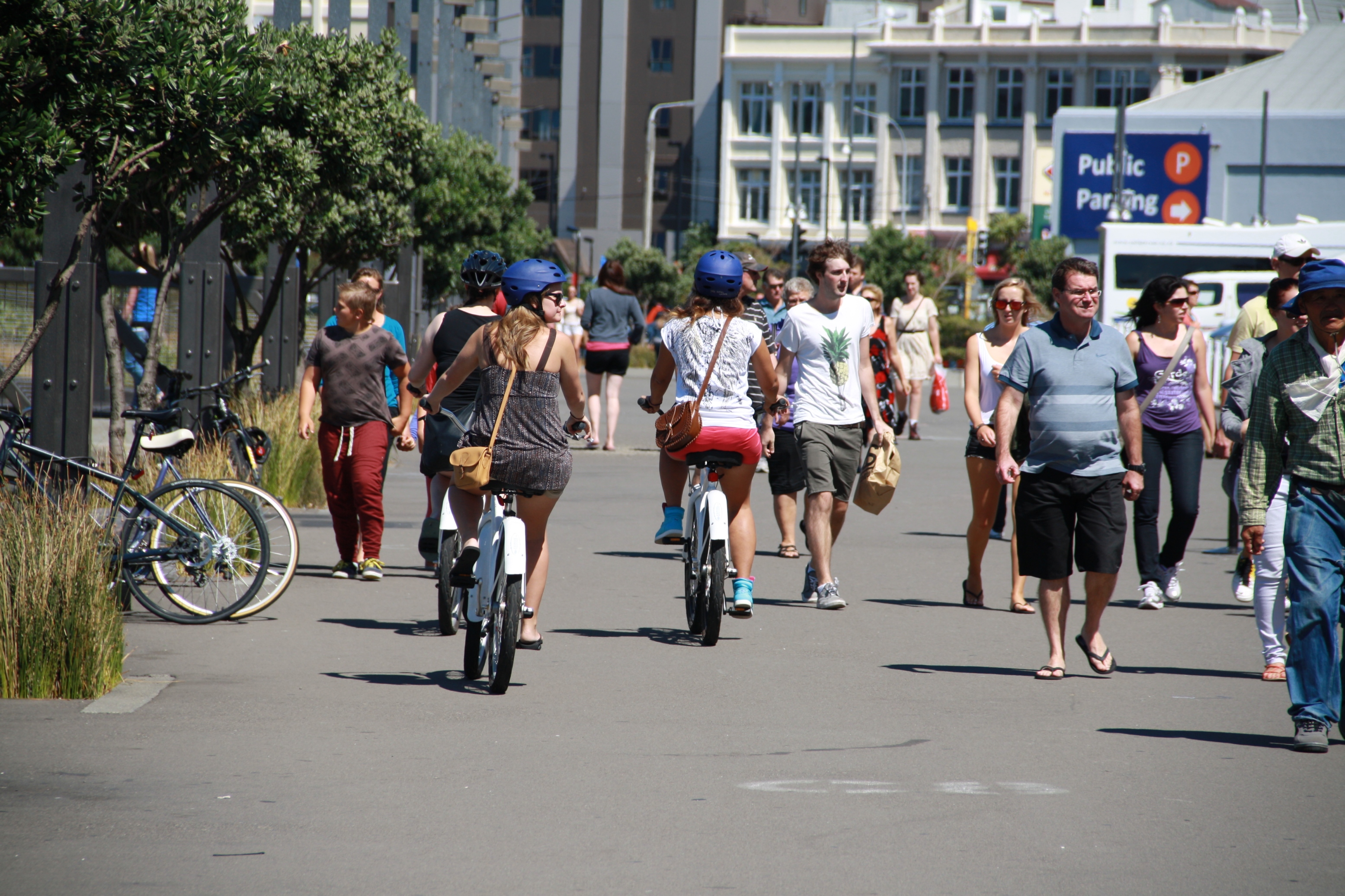 Cyclists and pedestrians enjoy the waterfront in harmony